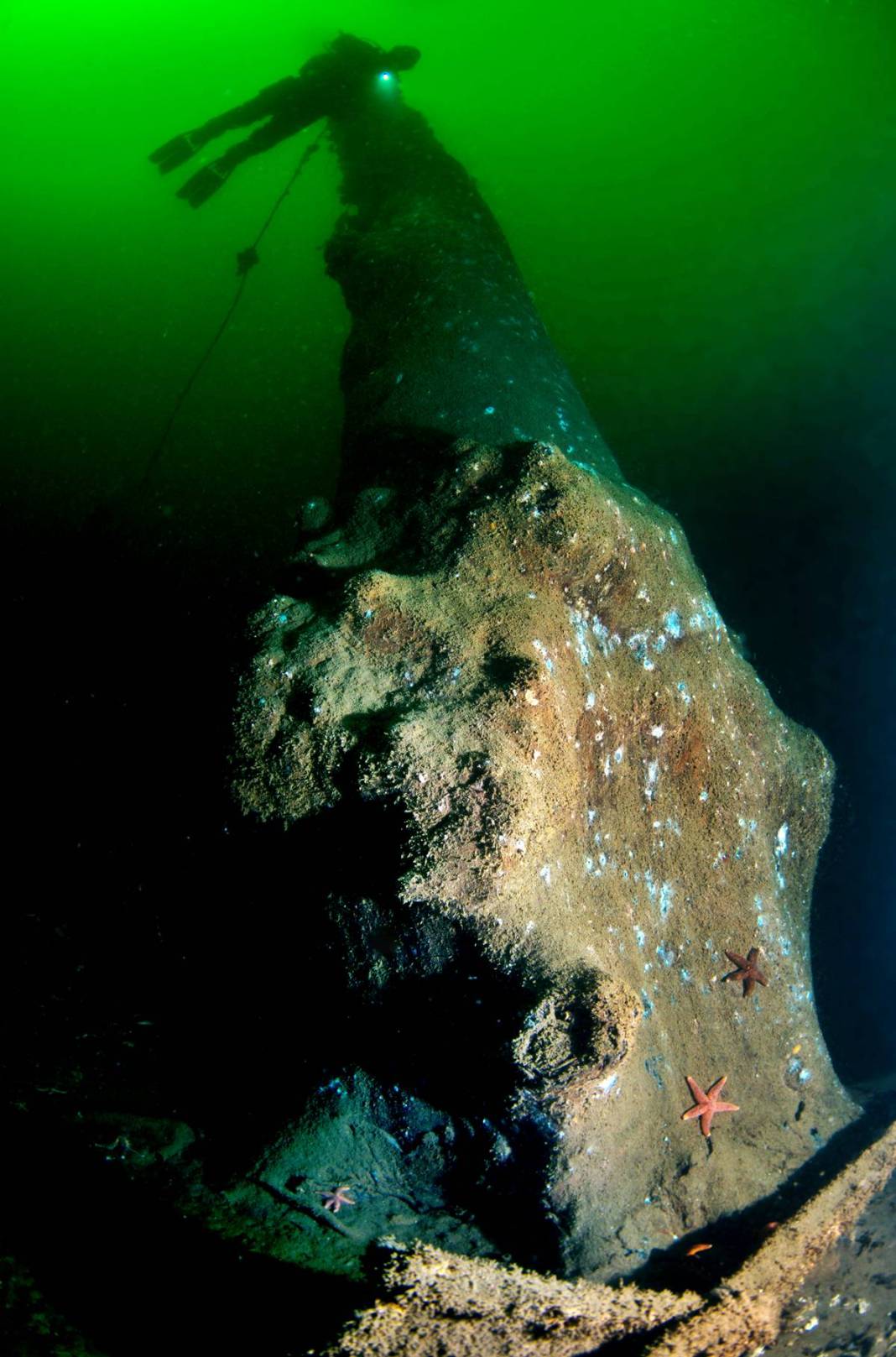 1999 Gölcük depreminde sular altında kalmıştı: Şaşırtan manzara! 26 yıl sonra görüntülendi 3